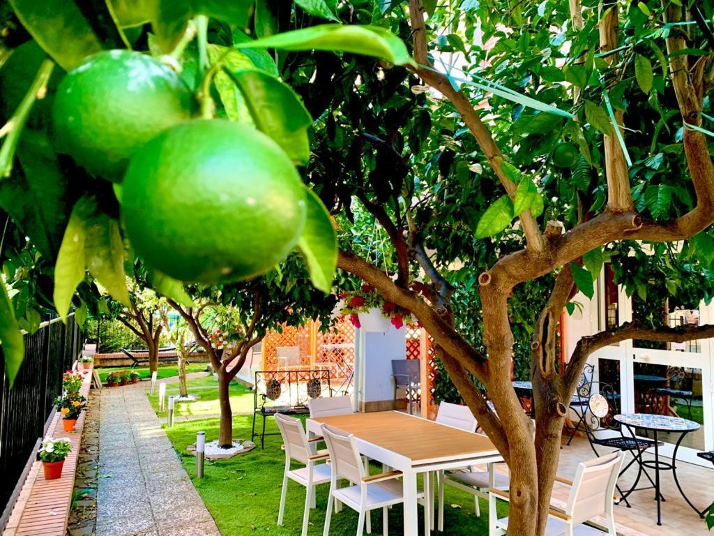 Bed and Breakfast Dimora Leone Diamante Esterno foto