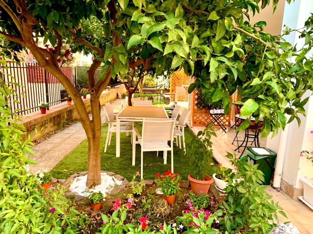 Bed and Breakfast Dimora Leone Diamante Esterno foto