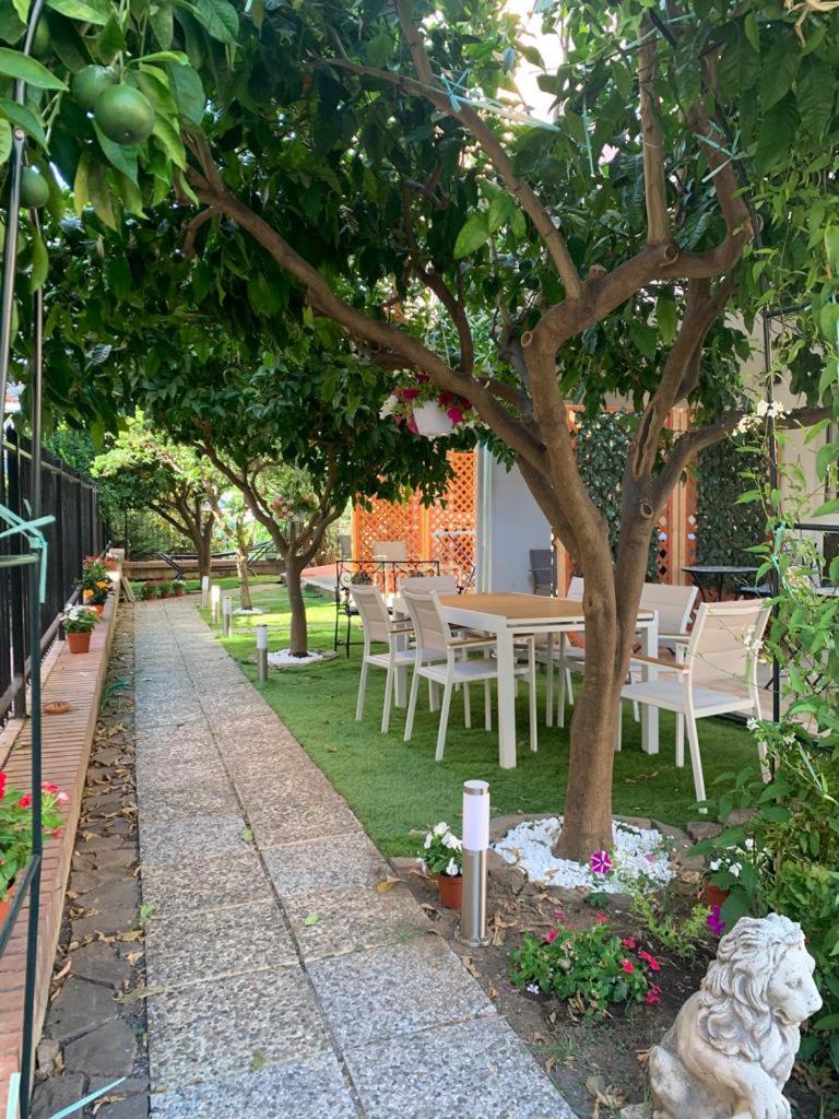Bed and Breakfast Dimora Leone Diamante Esterno foto