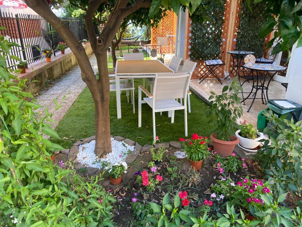 Bed and Breakfast Dimora Leone Diamante Esterno foto