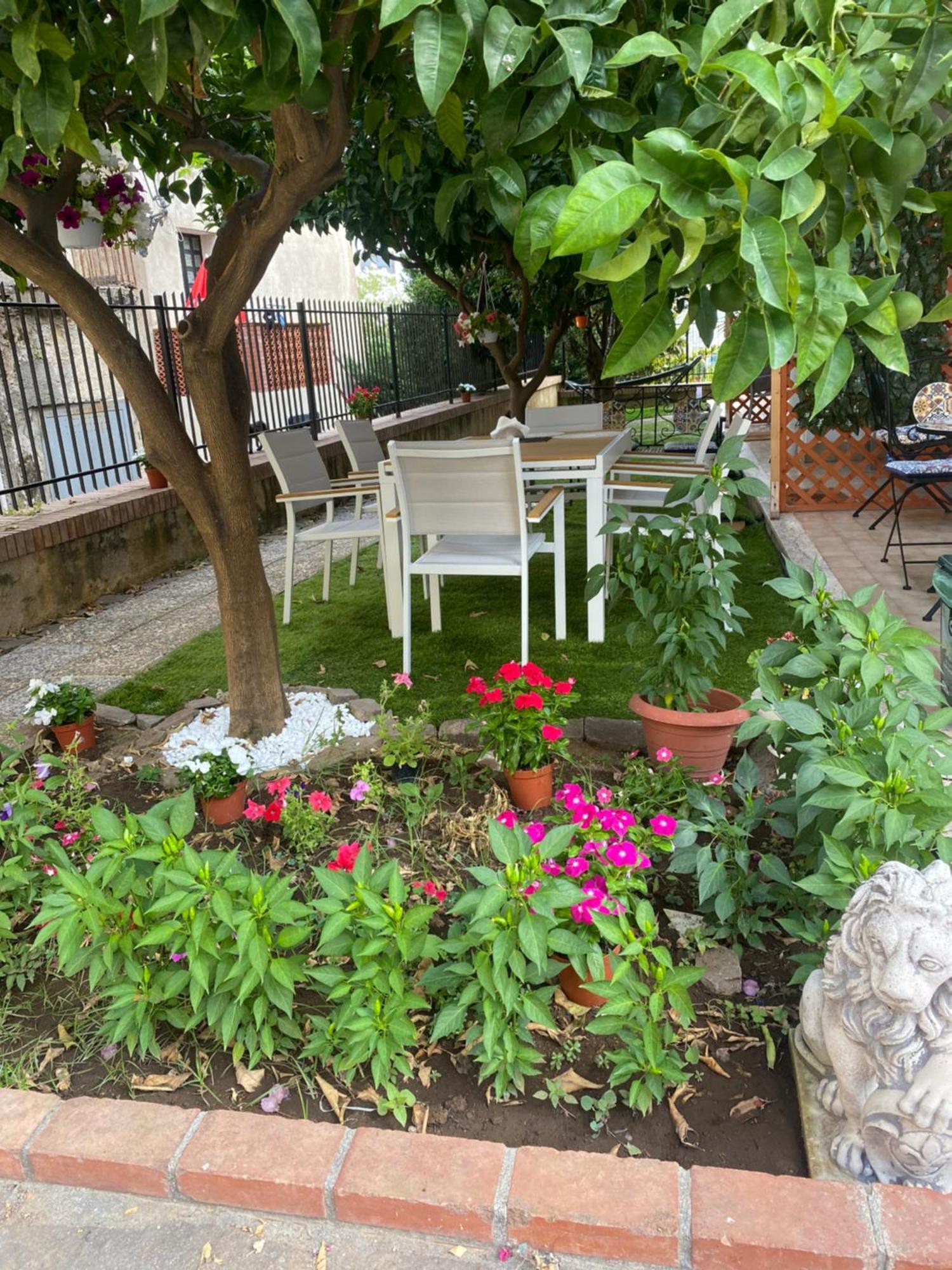 Bed and Breakfast Dimora Leone Diamante Esterno foto