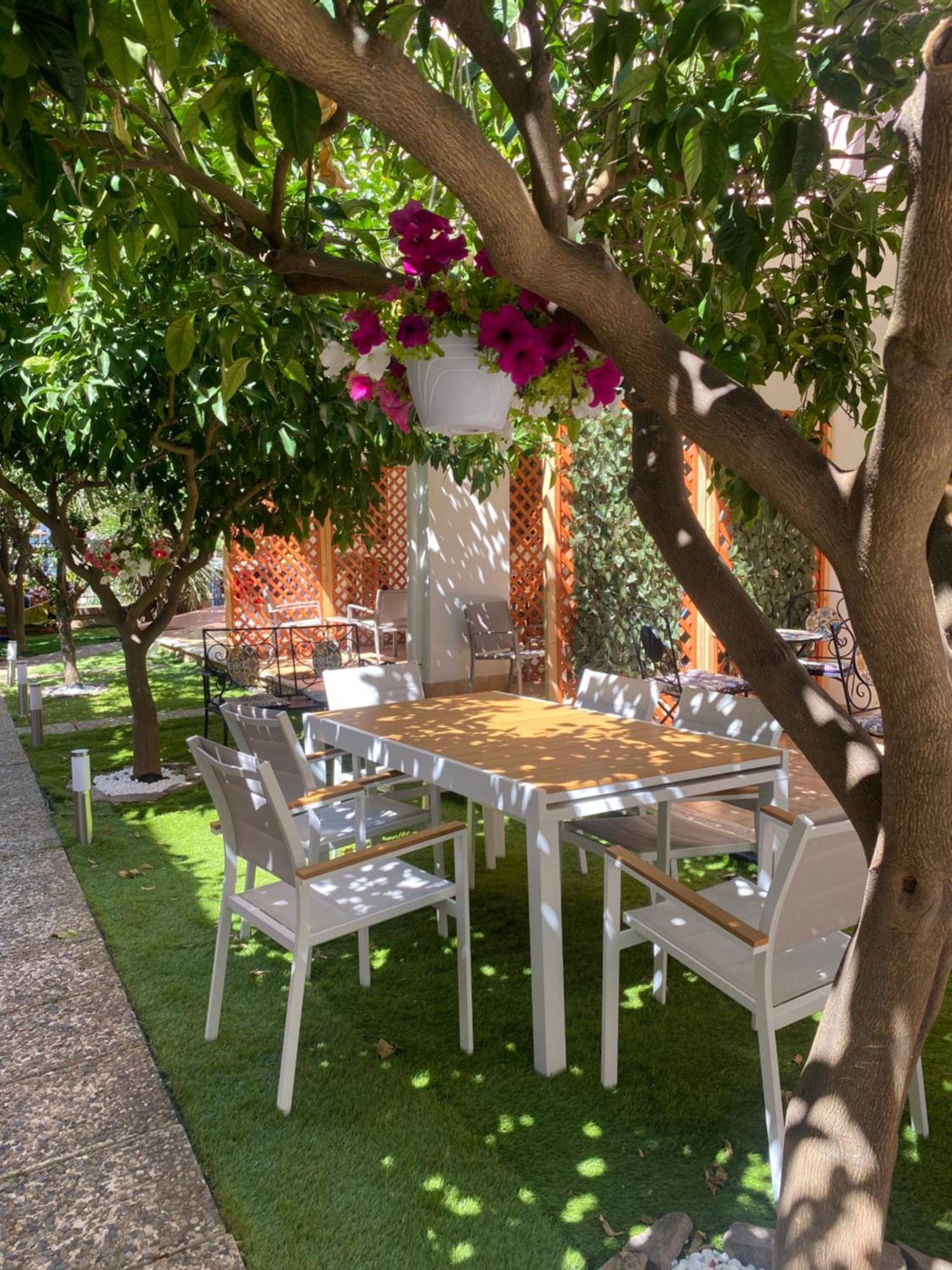 Bed and Breakfast Dimora Leone Diamante Esterno foto